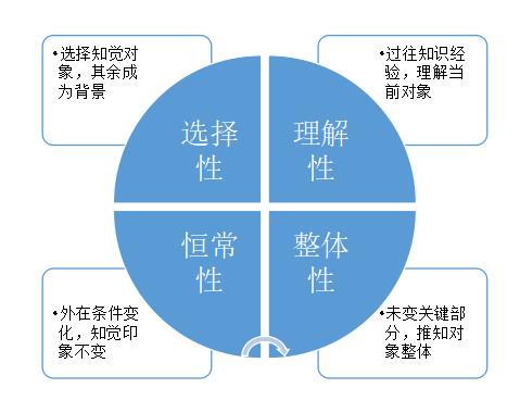 四川幼儿教师资格考试：知觉规律详解