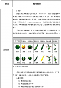 2018下半年高中生物教师资格证面试真题：相对性状