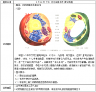 2018上半年高中生物教师资格面试真题:动物细胞亚显微结构