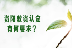 2020年四川省资阳市教师资格认定